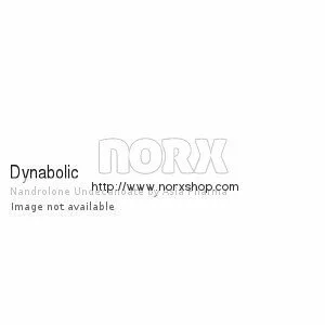 Dynabolic