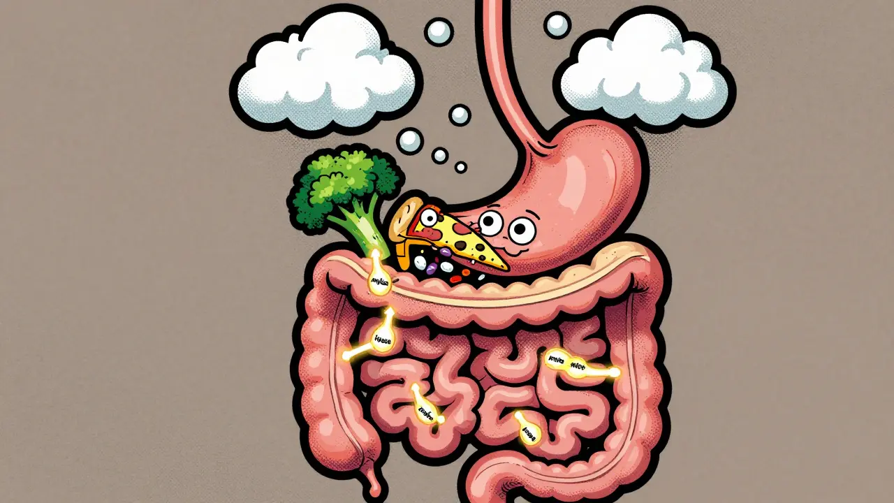 Digestive Enzymes: When Supplements May Help GI Symptoms