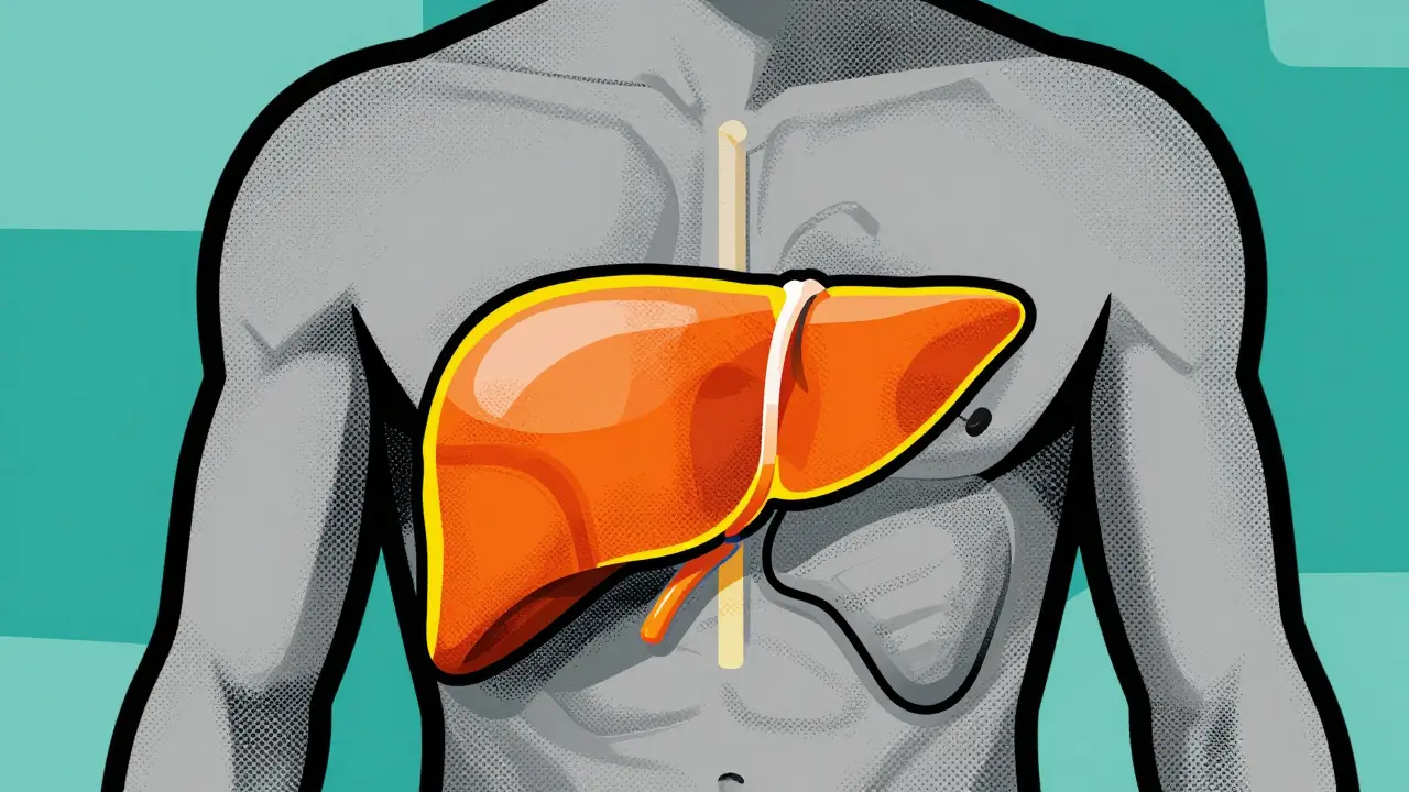 MAFLD and GLP-1 Agonists: How Weight Loss Medications Help Fatty Liver Disease
